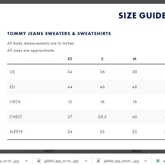 NWT Tommy Hilfiger men's sweatshirt FLAG SWEATSHIRT - Picture 10 of 10